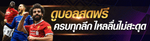 ข่าวบอล เดวิด มอยส์