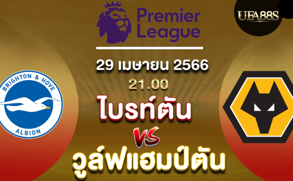 ไบรท์ตันvsวูล์ฟแฮมป์ตัน