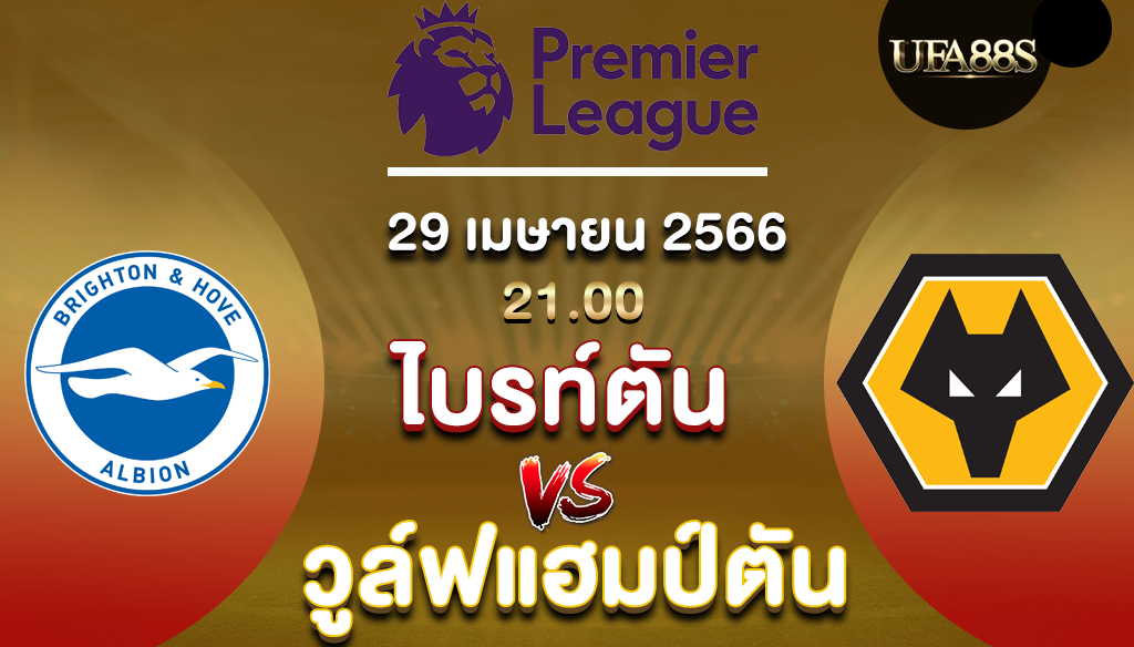 ไบรท์ตันvsวูล์ฟแฮมป์ตัน